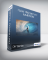 DIY Genius – Flow Productivity Immersion