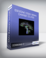 Command Z – Esozone Codex Brain Change Course