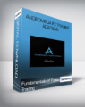 Fundamentals of Forex Trading – Andromeda FX Trading Academy