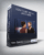 Nick Sparks – How to Get Sexual Like a Man