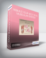 Rebuild Your Body 2016 – Muscular System