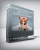P. SALLEY-JHA . – Entrepreneurship Secret – How to start successful business