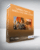 TTC Video – Turning Points in Middle Eastern History