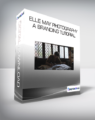 Elle May Photography – A Branding Tutorial