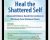 2-Day Course-Heal the Shattered Self-Advanced Evidence-Based Interventions to Effectively Treat Shattered Clients – Steve A Johnson