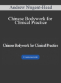 Andrew Nugent-Head – Chinese Bodywork for Clinical Practice