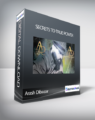Arash Dibazar – Secrets To True Power