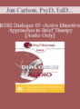 [Audio Only] BT02 Dialogue 05 – Active-Directive Approaches to Brief Therapy – Jon Carlson, PsyD, EdD and Albert Ellis, PhD