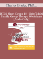[Audio Only] BT02 Short Course 18 – Brief Multi-Family Group Therapy Workshops: A New Solution for Our Times – Charles Bruder, PhD, Kimball DelaMare, LCSW, Jared Balmer, PhD, Rick Jackson, MD