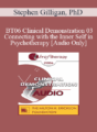 [Audio Only] BT06 Clinical Demonstration 03 – Connecting with the Inner Self in Psychotherapy – Stephen Gilligan, PhD