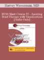 [Audio Only] BT06 Short Course 35 – Assisting Brief Therapy with Visualizations – Harvey Wasserman, MD