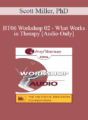 [Audio Only] BT06 Workshop 02 – What Works in Therapy: Translating 40 Years of Outcome Research into Empirically Supported Therapeutic Strategies – Scott Miller, PhD