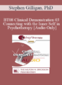 [Audio Only] BT08 Clinical Demonstration 03 – Connecting with the Inner Self in Psychotherapy – Stephen Gilligan, PhD