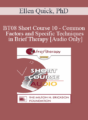 [Audio Only] BT08 Short Course 10 – Common Factors and Specific Techniques in Brief Therapy: A Solution-Focused Perspective – Ellen Quick, PhD