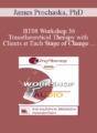 [Audio Only] BT08 Workshop 36 – Transtheoretical Therapy with Clients at Each Stage of Change – James Prochaska, PhD