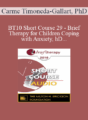 [Audio] BT10 Short Course 29 – Brief Therapy for Children Coping with Anxiety, Headaches, Loyalty Conflicts, and Emotional Learning Blockages – Carme Timoneda-Gallart, PhD