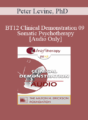 [Audio] BT12 Clinical Demonstration 09 – Somatic Psychotherapy – Peter Levine, PhD