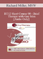 [Audio] BT12 Short Course 08 – Brief Therapy with Gay Men – Richard Miller, MSW