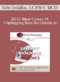 [Audio] BT12 Short Course 34 – Unplugging from the Outside in: Brief Strategic Hypnotherapy with Older Adolescents and Young Adults (Ages 16-25) – Tobi Goldfus, LCSW-C BCD