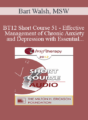 [Audio] BT12 Short Course 51 – Effective Management of Chronic Anxiety and Depression with Essential Neurobiological Communication – Bart Walsh, MSW