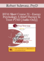 [Audio] BT16 Short Course 31 – Energy Psychology A Brief Therapy to Treat PTSD – Robert Schwarz, PsyD