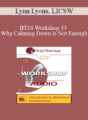 [Audio] BT16 Workshop 35 – Why Calming Down is Not Enough: Active Strategies to Help Anxious Kids and Parents – Lynn Lyons, LICSW