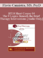 [Audio] BT18 Short Course 04 – The 9 Logics Beneath the Brief Therapy Interventions – Flavio Cannistra, MS, PsyD