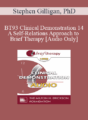 [Audio] BT93 Clinical Demonstration 14 – A Self-Relations Approach to Brief Therapy – Stephen Gilligan, PhD