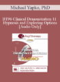 [Audio] BT96 Clinical Demonstration 11 – Hypnosis and Exploring Options – Michael Yapko, PhD