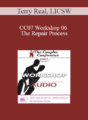 [Audio] CC07 Workshop 06 – The Repair Process: Helping Couples Get Back on Track – Terry Real, LICSW