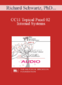 [Audio] CC11 Topical Panel 02 – Internal Systems: Which Ones and Do They Matter? – Richard Schwartz, PhD, Stan Tatkin, PsyD, Jeffrey Zeig, PhD