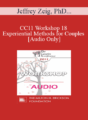 [Audio] CC11 Workshop 18 – Experiential Methods for Couples – Jeffrey Zeig, PhD and Lilian Borges, MA, LPC