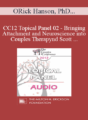 [Audio] CC12 Topical Panel 02 – Bringing Attachment and Neuroscience into Couples Therapy: Benefits, Challenges, and Pitfalls – Rick Hanson, PhD, Harville Hendrix, PhD, Stan Tatkin, PsyD, and Scott Woolley, PhD