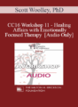 [Audio] CC16 Workshop 11 – Healing Affairs with Emotionally Focused Therapy – Scott Woolley, PhD