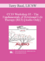 [Audio] CC19 Workshop 03 – The Fundamentals of Relational Life Therapy (RLT) – Terry Real, LICSW