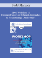 [Audio] EP00 Workshop 10 – Common Factors in Different Approaches to Psychotherapy – Judd Marmor, M.D.