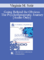 [Audio] EP85 Invited Address 06a – Going Behind the Obvious – The Psychotherapeutic Journey – Virginia M. Satir, A.C.S.W.