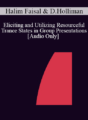 [Audio] IC04 Short Course 30 – Eliciting and Utilizing Resourceful Trance States in Group Presentations – Halim Faisal, M.S.W. and Diane Holliman, Ph.D.