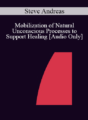 [Audio] IC07 Clinical Demonstration 06 – Mobilization of Natural Unconscious Processes to Support Healing – Steve Andreas, MA