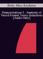 [Audio] IC92 Workshop 13b – Demonstrations I – Anatomy of Varied Formal Trance Inductions – Betty Alice Erickson, MS, LPC, LMFT