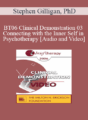 [Audio and Video] BT06 Clinical Demonstration 03 – Connecting with the Inner Self in Psychotherapy – Stephen Gilligan, PhD