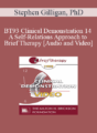 BT93 Clinical Demonstration 14 – A Self-Relations Approach to Brief Therapy – Stephen Gilligan, PhD