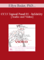CC13 Topical Panel 01 – Infidelity – Ellyn Bader, PhD, Janis Abrahms Spring, PhD, and Michele Weiner-Davis, MSW, LCSW