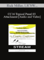CC16 Topical Panel 03 – Attachment – Rick Miller, LICSW, Diane Heller, Scott Woolley, PhD