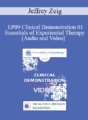 EP09 Clinical Demonstration 01 – Essentials of Experiential Therapy – Jeffrey Zeig, PhD