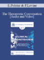 EP17 Clinical Demonstration with Discussant 05 – The Therapeutic Conversation: A Reunion of the Minds – Erving Polster, PhD and Peter Levine, PhD