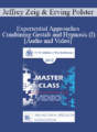 EP17 Master Class – Experiential Approaches Combining Gestalt and Hypnosis (I) – Jeffrey Zeig, PHD and Erving Polster, PHD