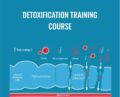 Detoxification Training Course – Body Ecology