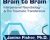 Brain to Brain-Interpersonal Neurobiology and The Traumatic Transference – Janina Fisher