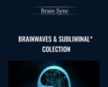 Brainwaves and Subliminal Colection – Brain Sync